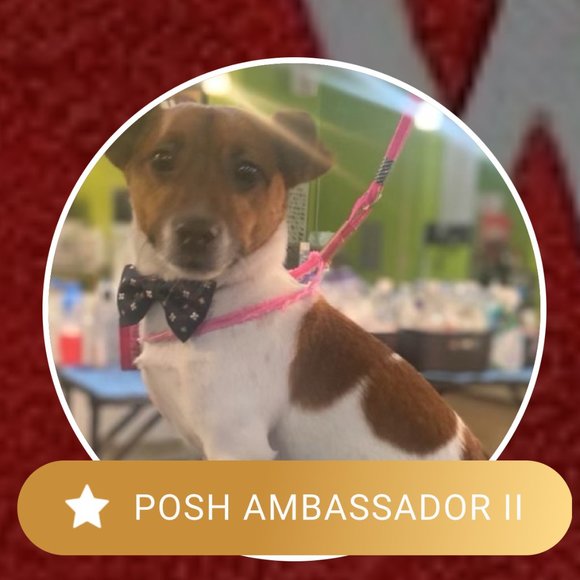 Hi, I’m Ali 🥰 Lovely to meet you! - Picture 3 of 9